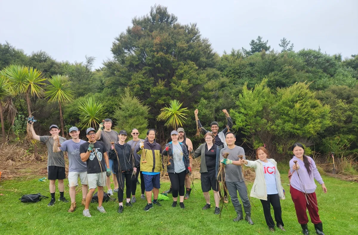 ICT team volunteering at a community native-planting day