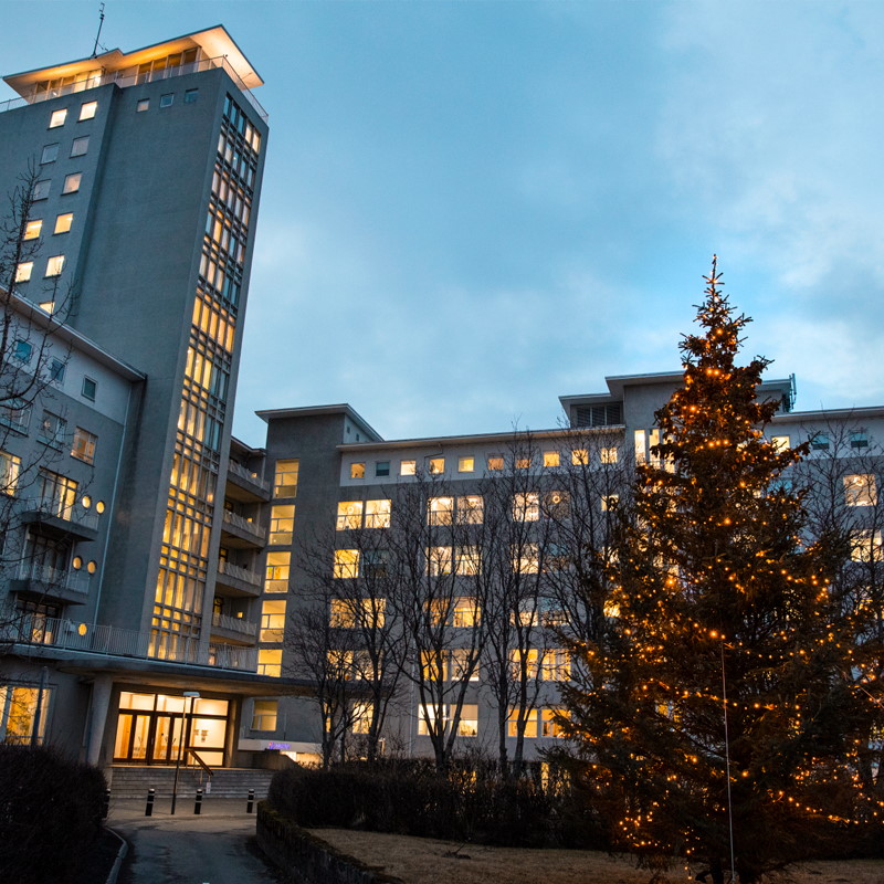 Landspítali hospital forecourt at dusk with tree decorated with lights