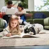 Mutifamily / Residential