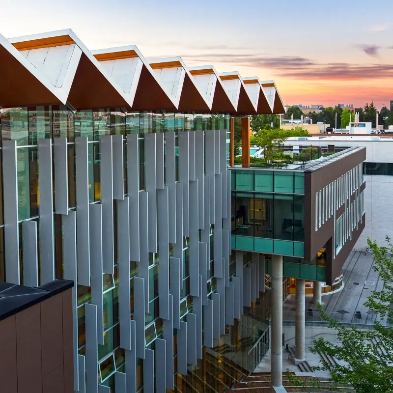 UBC Birds Nest building