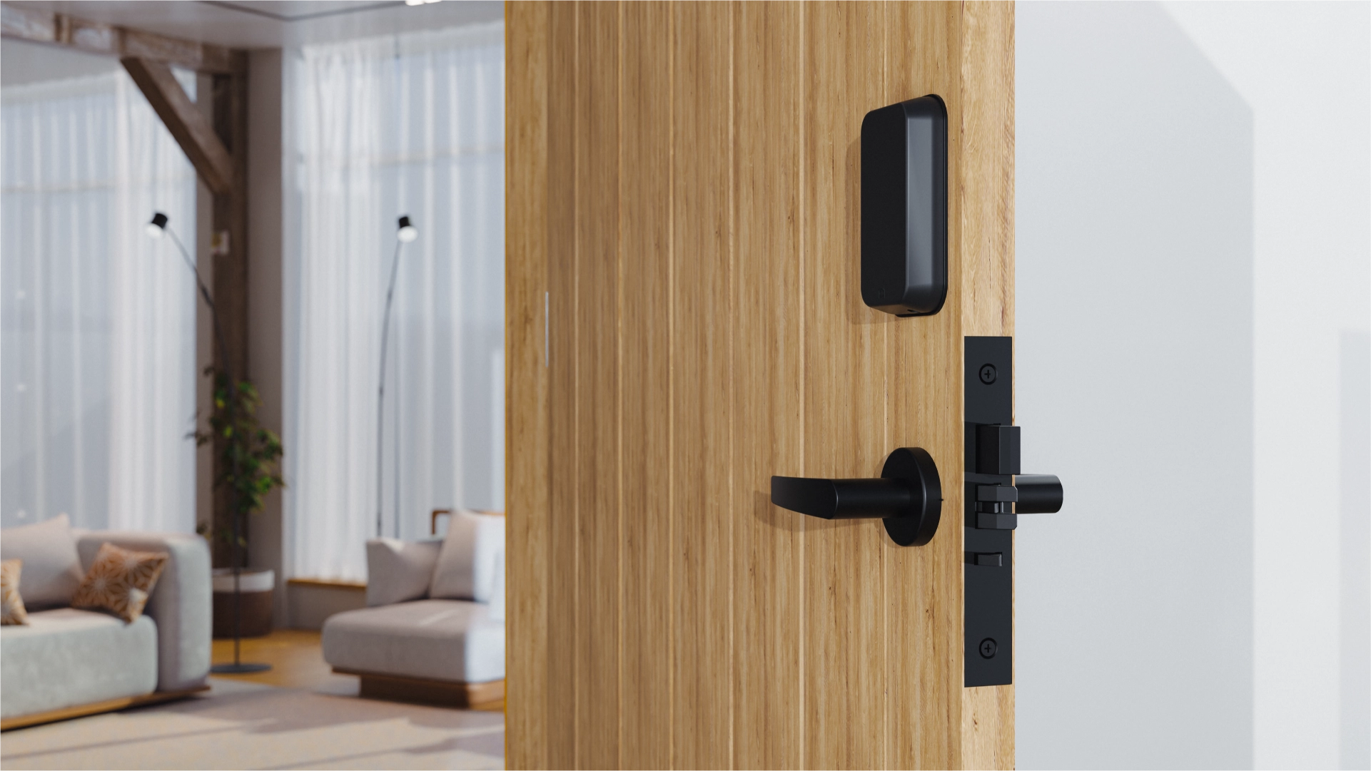 Rear Mount Mortise installed on door — back view